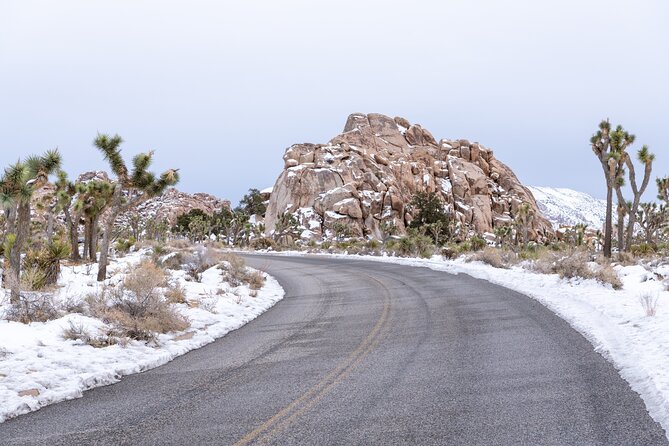 Joshua Tree National Park Self-Guided Driving Audio Tour - Price, timing, and the value of a private tour