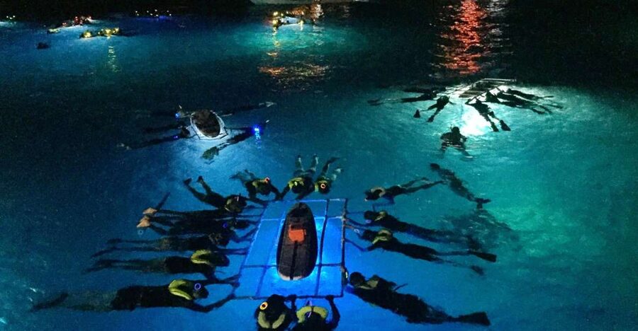 Kailua Kona: Night Manta Ray Adventure on the Big Island - From Kailua-Kona to the viewing site