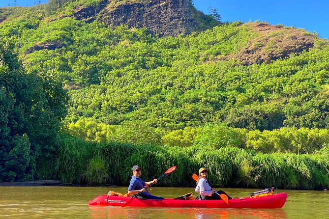 Kauai Adventure: Kayak & Hike to Secret Falls with Expert Guide - What your $140 covers