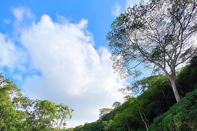 Kauai Adventure: Kayak & Hike to Secret Falls with Expert Guide - Guides make a practical difference