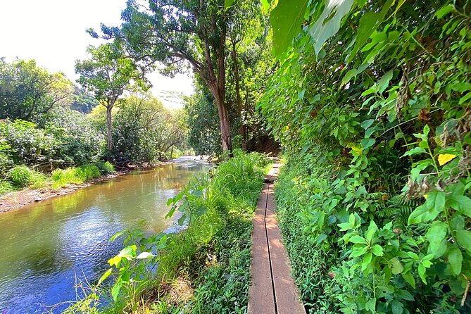 Kauai Adventure: Kayak & Hike to Secret Falls with Expert Guide - Who should book this Kauai adventure