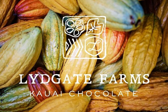 Kauai Chocolate Farm Tasting Tour - What makes Lydgate Farms different