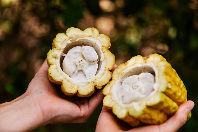 Kauai Chocolate Farm Tasting Tour - From cacao seed to finished chocolate
