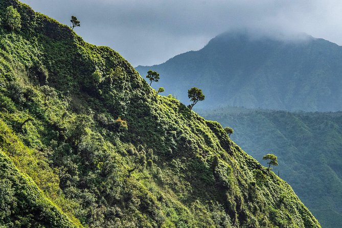 Kauai Eco Adventure Helicopter Tour - Manawaiopuna Falls in Hanapepe Valley