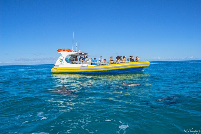 Kauai: Na Pali Coast Super Raft Snorkel Adventure - Who should book this raft adventure