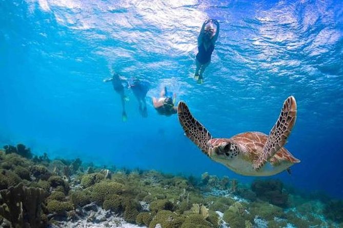 Kauai’s Ultimate Guided Shore Snorkel in South Poipu - Entering the ocean from Poipu Beach