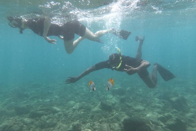 Kauai’s Ultimate Guided Shore Snorkel in South Poipu - Gear, warmth, and comfort in the water