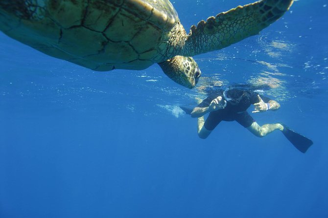 Kauai's Ultimate South Island Zodiac Boat Snorkel Adventure - What the $161.43 price covers