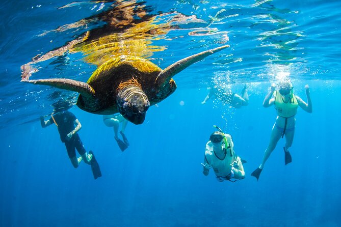 Kauai's Ultimate South Island Zodiac Boat Snorkel Adventure - Spouting Horn and the first water stop