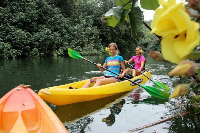 Kauai: Secret Falls Kayak and Hike - The rainforest trail is short on paper, harder underfoot