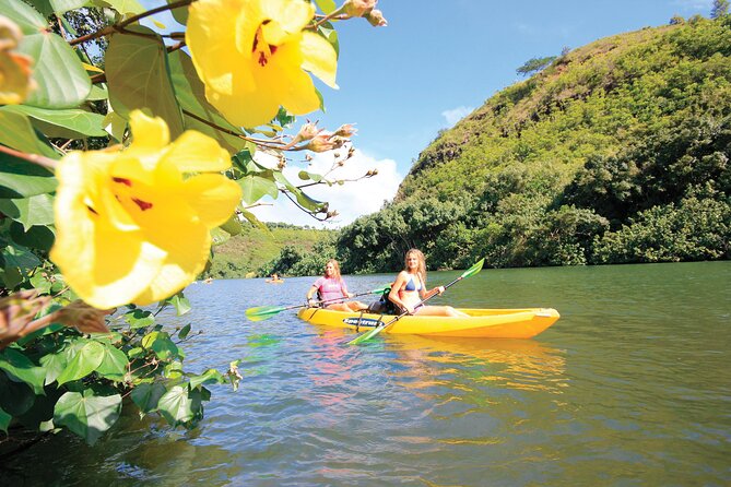 Kauai: Secret Falls Kayak and Hike - What the guides add to a group tour