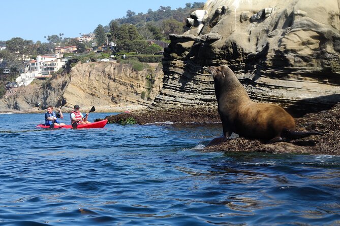 Kayak Tour of the 7 Caves - Weather and surf decide the experience