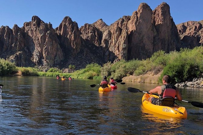 Kayaking the Salt River Foxtail Trip - Wildlife along the Salt River