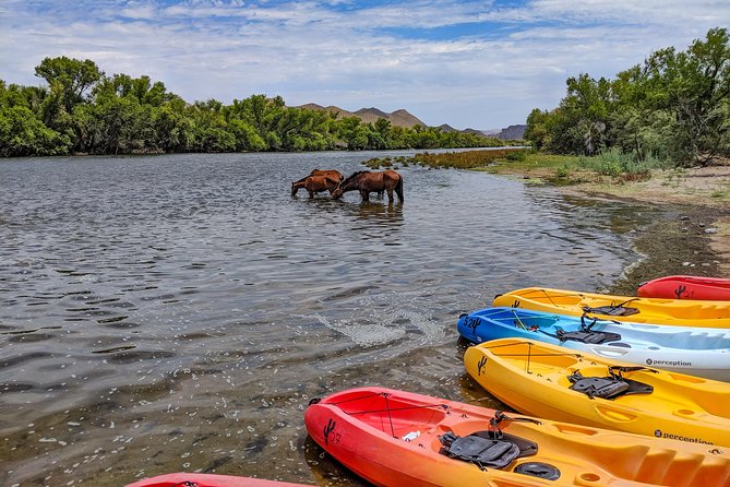 Kayaking the Salt River Foxtail Trip - Handling the swift sections and getting wet