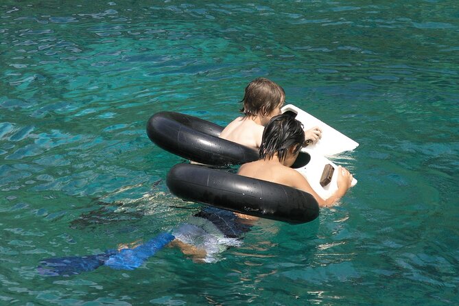 Kealakekua Bay Afternoon Snorkel: Family Fun on the Kona Coast - What you are likely to see below the surface