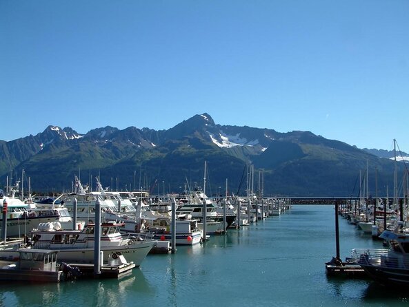 Kenai Fjords and Resurrection Bay Half-Day Wildlife Cruise - Bear Glacier from the water