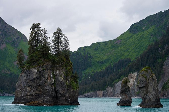 Kenai Fjords and Resurrection Bay Half-Day Wildlife Cruise - Sailing through Resurrection Bay