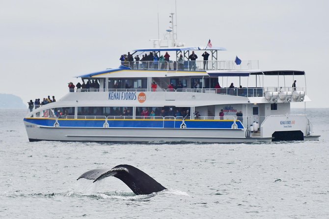 Kenai Fjords National Park Glacier & Wildlife Cruise - Leaving Seward for Resurrection Bay