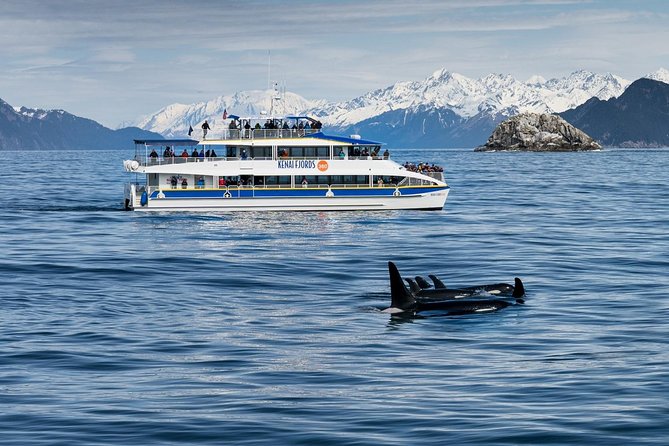 Kenai Fjords National Park Glacier & Wildlife Cruise - Wildlife spotting with an active crew