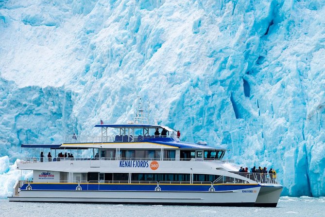 Kenai Fjords National Park Glacier & Wildlife Cruise - Price and practical value at $265.23