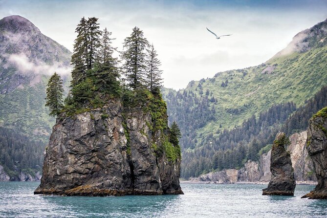 Kenai Fjords National Park Glacier & Wildlife Tour from Seward - Key points to know before booking
