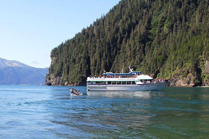 Kenai Fjords National Park Glacier & Wildlife Tour from Seward - Lunch, cookies, and the practical side of six hours