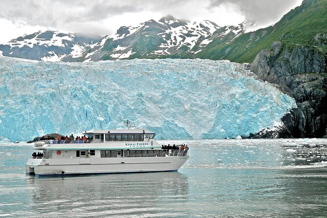 Kenai Fjords National Park Glacier & Wildlife Tour from Seward - Rough water, rain, and choosing your viewing spot