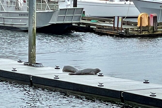 Ketchikan Duck Tour - The splash into the protected harbor
