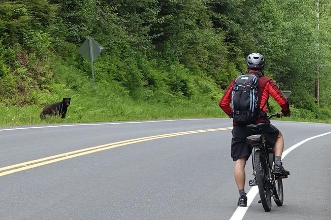 Ketchikan Electric Bike and Rain Forest Hike Ecotour - From the cruise dock to Ketchikan’s road end