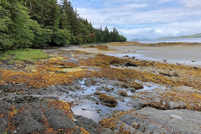 Ketchikan Electric Bike and Rain Forest Hike Ecotour - Snacks, rain gear, and the practical comfort factor