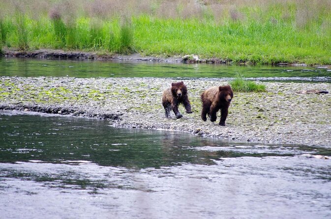 Ketchikan Kayak Eco-Tour - Key points to know before you book