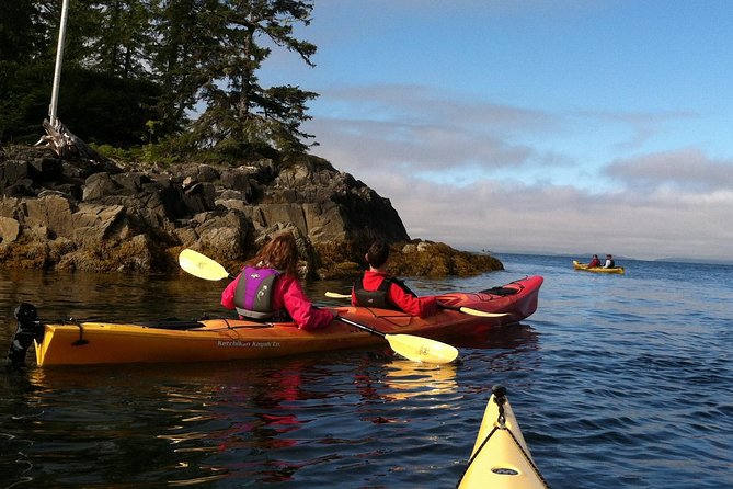 Ketchikan Kayak Eco-Tour - What the guides add to the experience