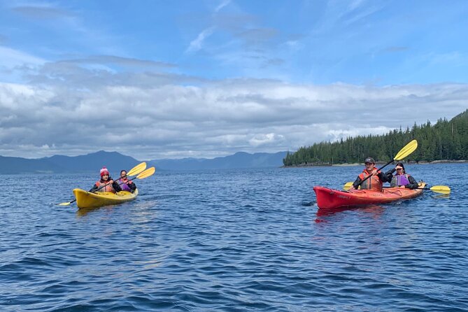 Ketchikan Kayak Eco-Tour - Who should book this kayak trip?