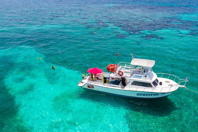 Key Largo Snorkeling Tour - rental mask, fins and vest INCLUDED - What your $67.50 covers