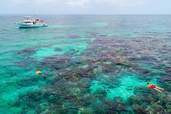 Key Largo Snorkeling Tour - rental mask, fins and vest INCLUDED - Getting fitted and learning the basics