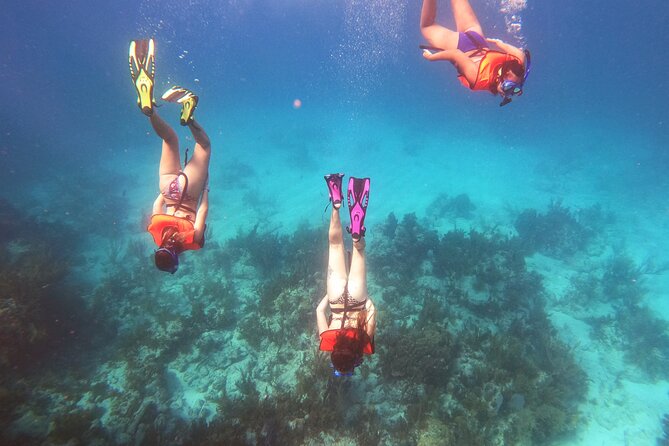 Key Largo Two Reef Snorkel Tour - All Snorkel Equipment Included! - What the $78 price really covers