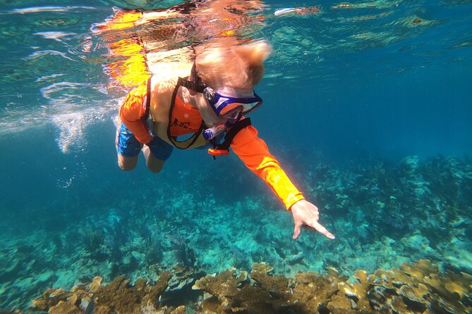 Key Largo Two Reef Snorkel Tour - All Snorkel Equipment Included! - Gear, snacks, and comfort on board