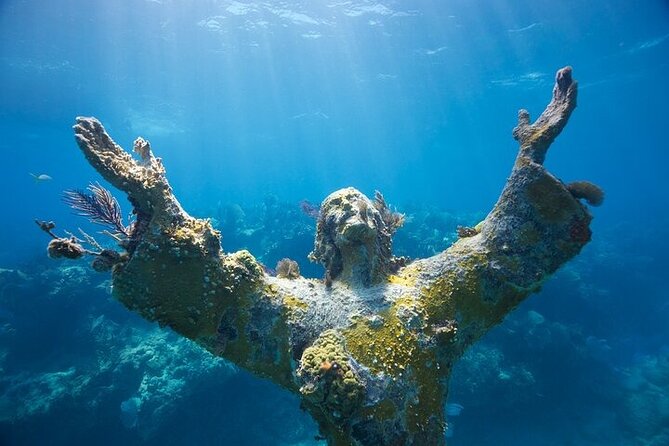 Key Largo Two Reef Snorkel Tour - All Snorkel Equipment Included! - Timing your departure