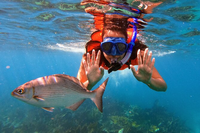 Key Largo Two Reef Snorkel Tour - All Snorkel Equipment Included! - Check-in at Garden Cove