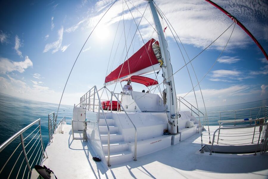 Key West: 3-Hour Afternoon Reef Snorkel with Drinks - The three-hour rhythm