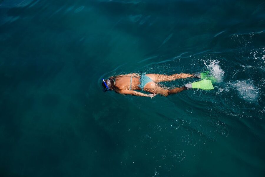 Key West: 3-Hour Afternoon Reef Snorkel with Drinks - What you see above the coral