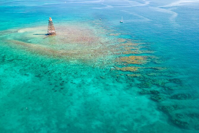 Key West Afternoon Reef Snorkeling with Open Bar - Key points before you book