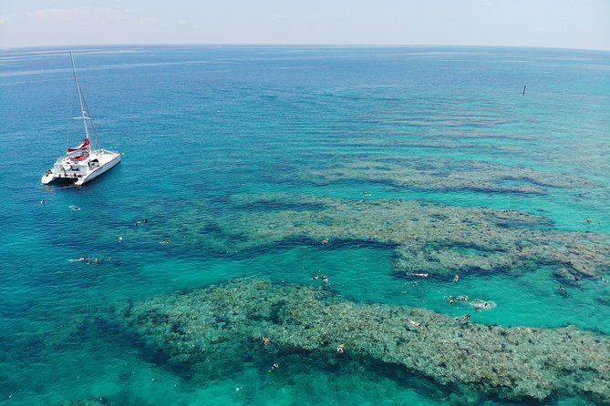 Key West Afternoon Reef Snorkeling with Open Bar - About an hour among coral and fish