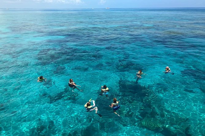 Key West Afternoon Reef Snorkeling with Open Bar - Weather, water temperature, and seasonal judgment