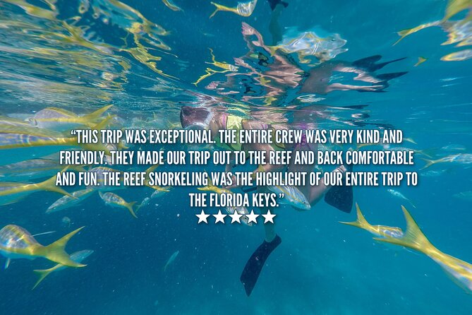 Key West Afternoon Snorkel Sail with Unlimited Cocktails! - Why the open bar is not available before snorkeling