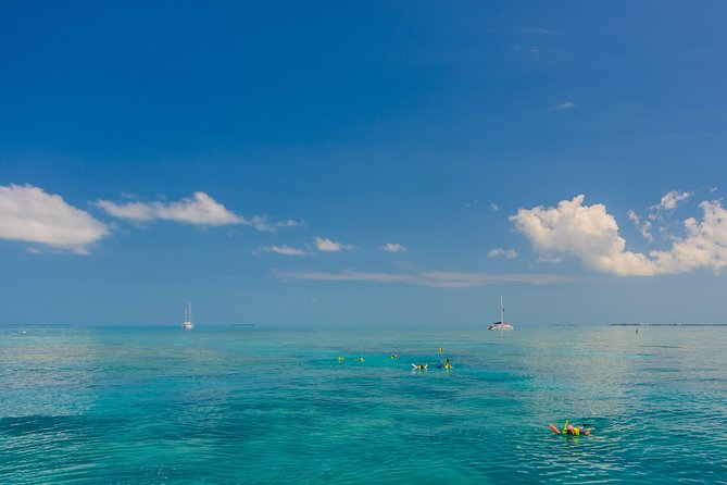 Key West Afternoon Snorkel Sail with Unlimited Cocktails! - Who will enjoy the Marquesa most