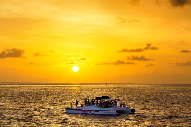 Key West Dolphin and Snorkel Experience - What makes this Key West outing worth considering
