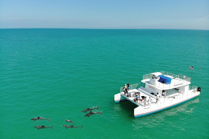 Key West Dolphin and Snorkel Experience - Three hours from the Key West Historic Seaport