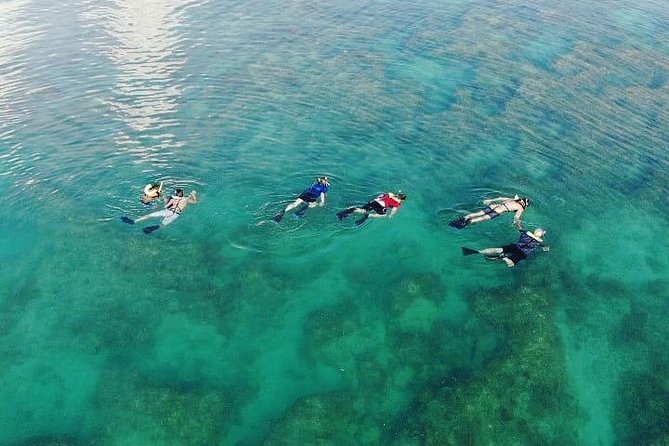 Key West Dolphin and Snorkel Experience - Crew guidance and safety for first-timers