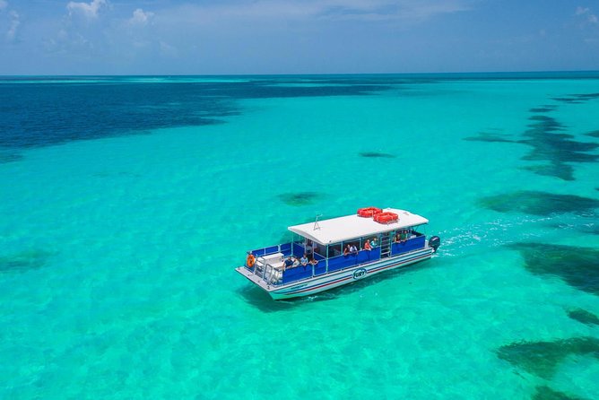 Key West Dolphin Watch and Snorkel Tour - Eco Adventure - Drinks, equipment, and what to pack
